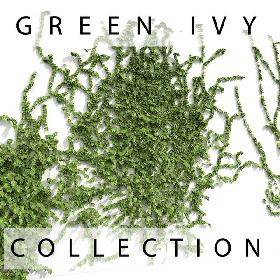 Green Ivy Plant Collection On Wall